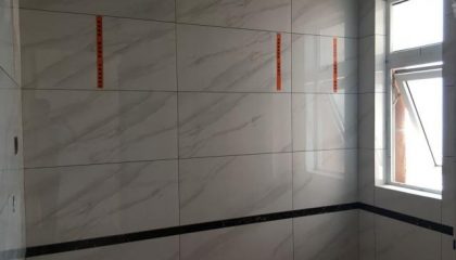 依云華苑瓦工階段