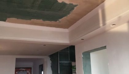 萬科碧桂園油漆階段