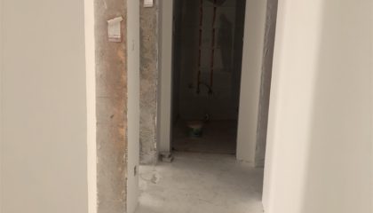 南山楠油漆階段