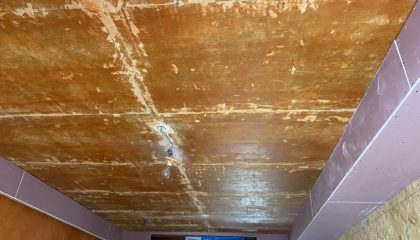 建發(fā)泱譽(yù)木工階段