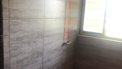 幸福未來(lái)花園瓦工階段