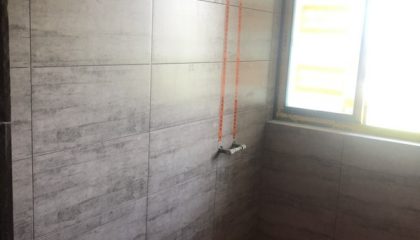 幸福未來(lái)花園瓦工階段