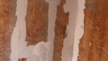 鑫苑國際油漆階段